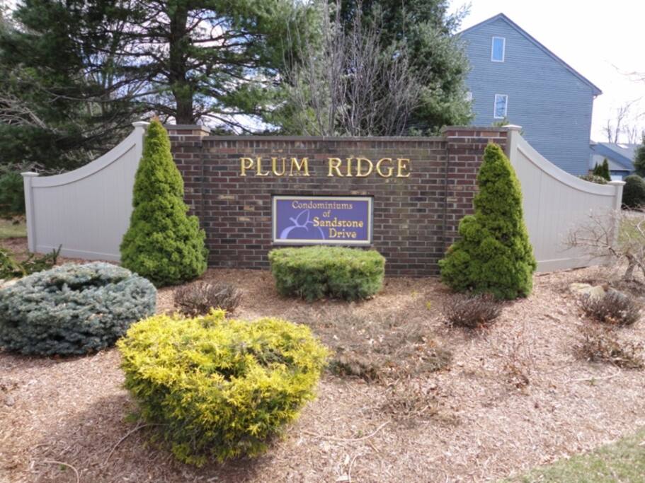 Awesome location - Safe and quiet but close to everything you can think of!