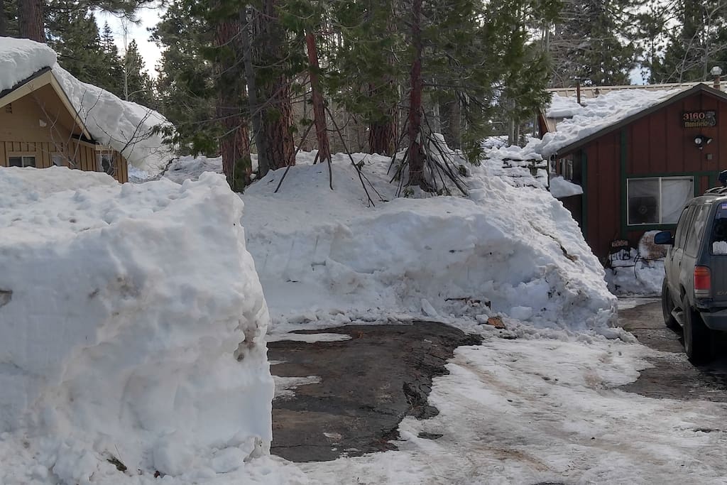This is the front yard, more pics soon!