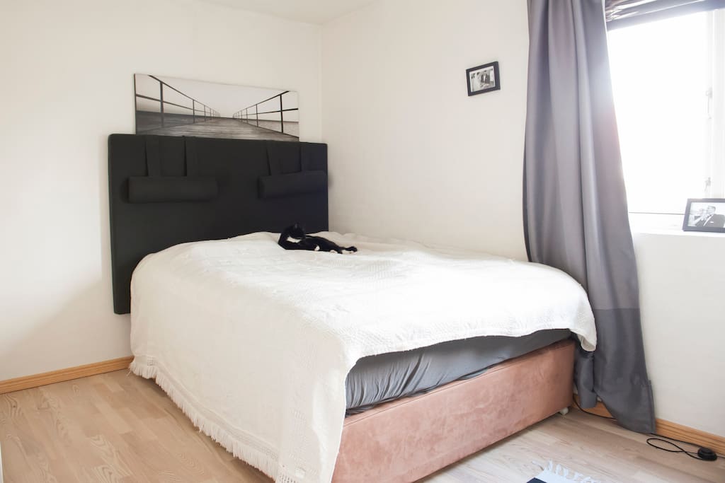 Master bedroom - ground floor