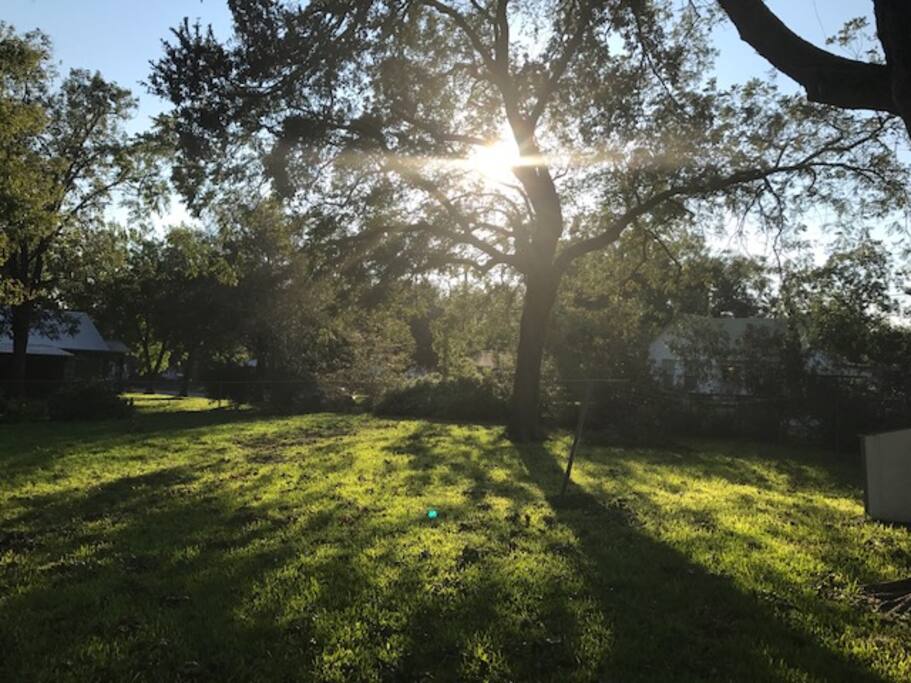 View from the screened in porch of the backyard
