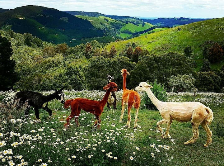 ห้องนอน4