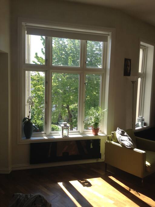 The living room/dining room/ kitchen is kept very light by the huge windows, typical for Frogner.