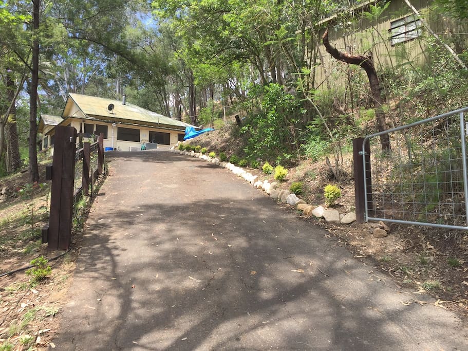 Fenced yard