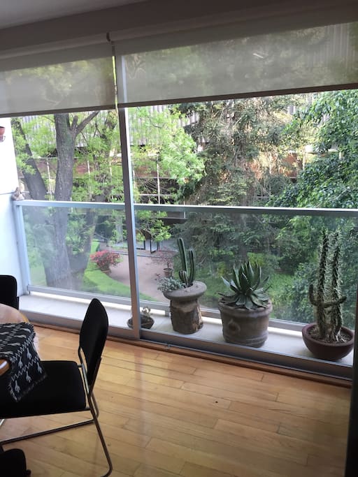 Eat with view of shady green trees/ comer con vista de arboles verdes