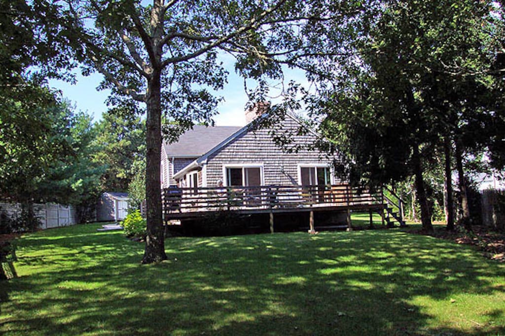 Yard & Deck