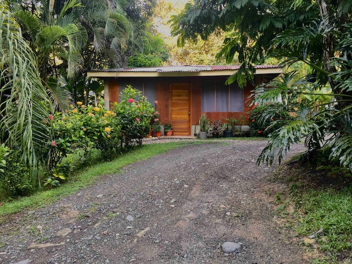 Help in the house and in the garden in Puerto Jimenez, Costa Rica