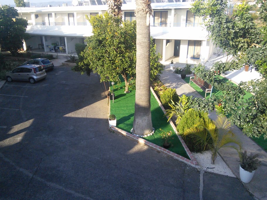 garden