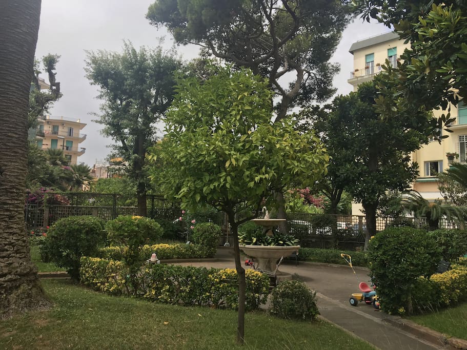 Giardino