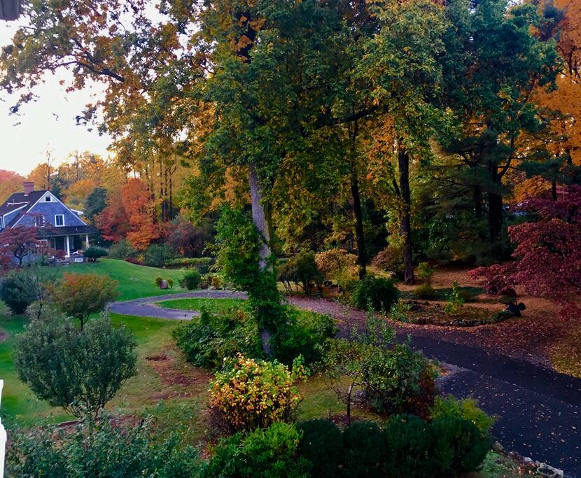 Fall Romance