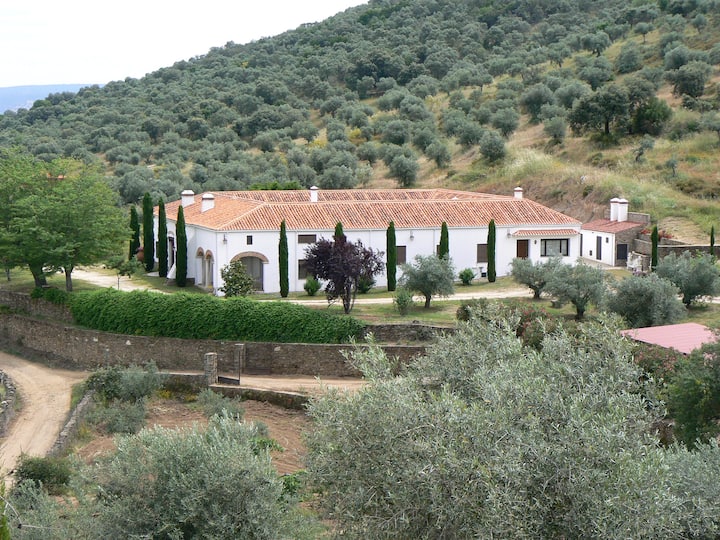 El Altozano Winery