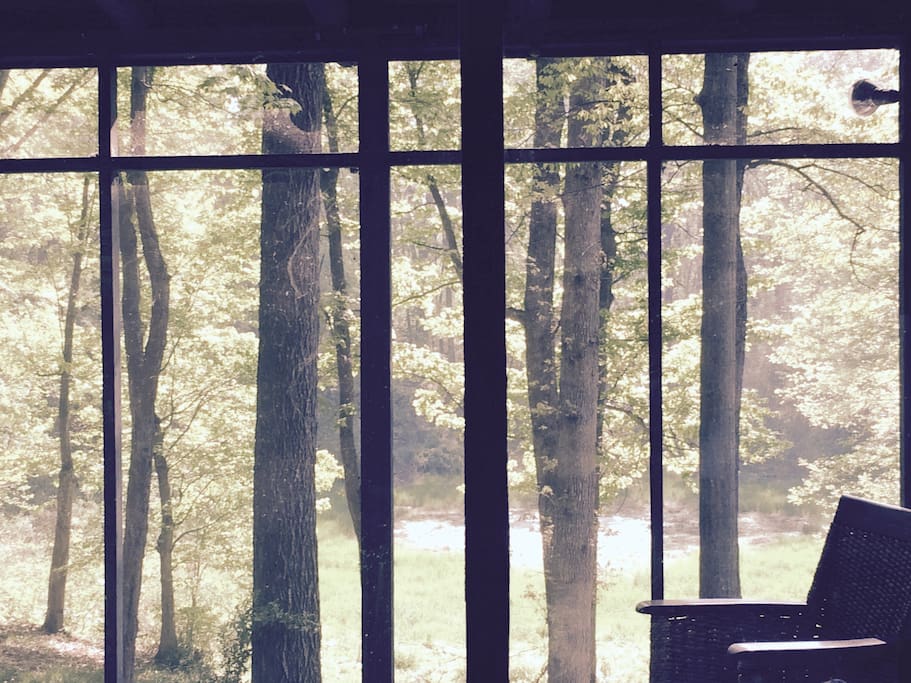 view of forest from screened porch