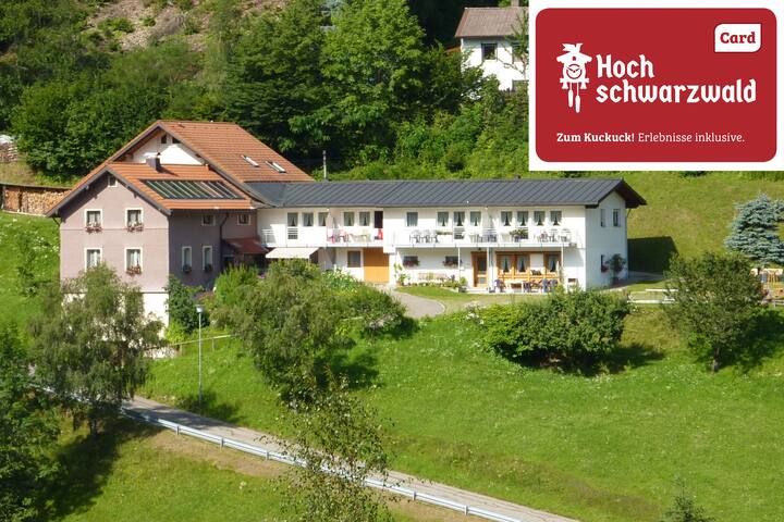 Apartment sun view Todtnau - Cozy traditional black forest family apartment with private BBQ terrace and dish washer