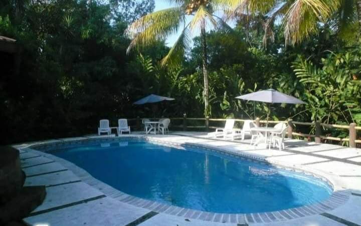 A clear swimming pool is surrounded by lush greenery, offering a serene setting. Lounge chairs and umbrellas are arranged on the pool deck, allowing for relaxation in a natural atmosphere.