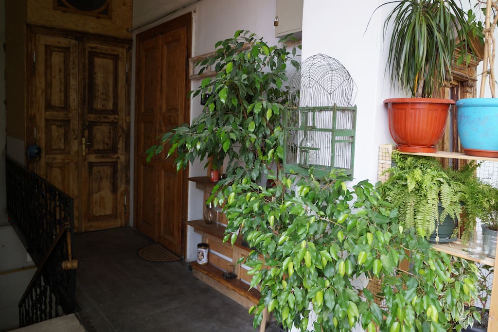 The outdoor space