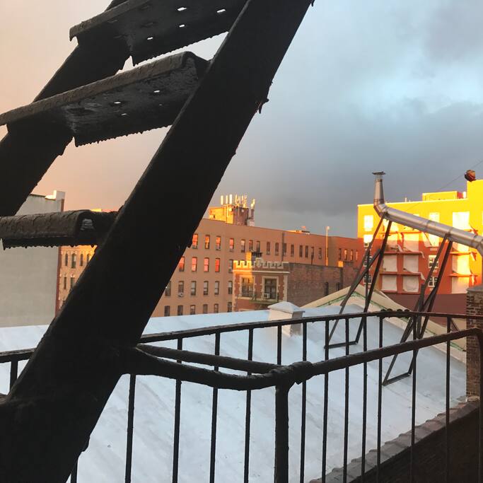 The view outside the window