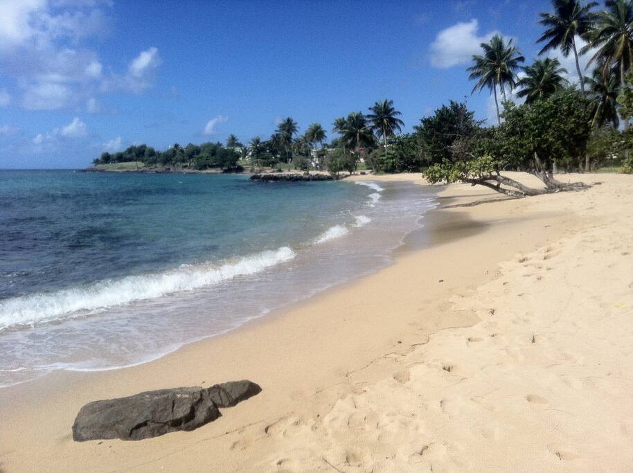 Anse principale de Gros Raisins