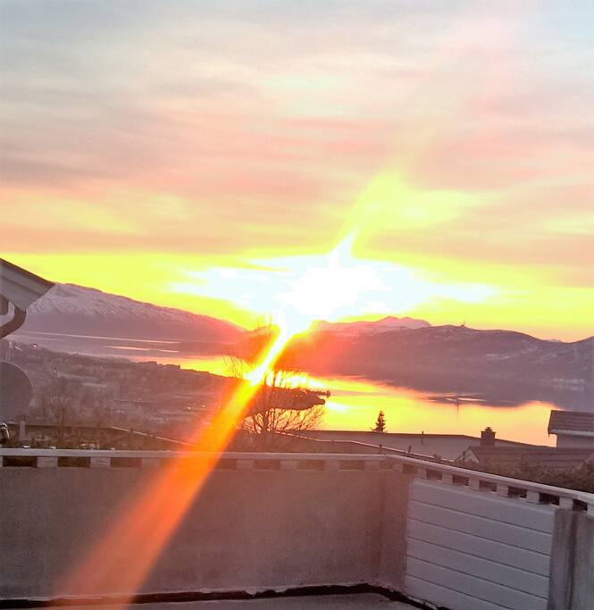 Morning sun facing north- east.