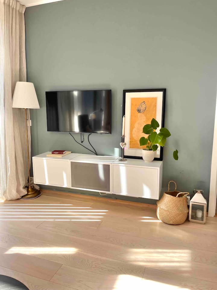 电视上的所有挪威语频道也提供高速无线网络