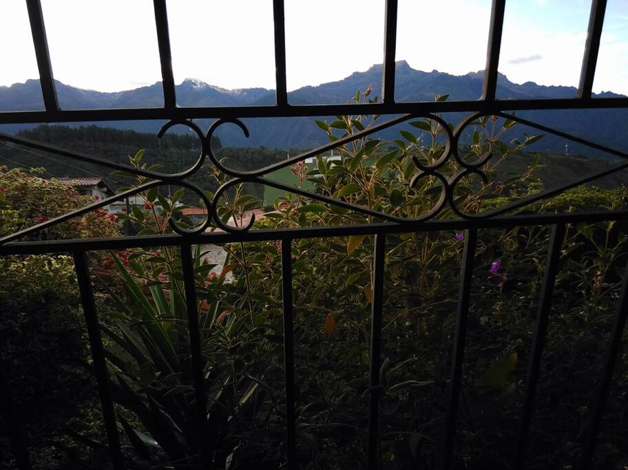 Vista desde la habitación