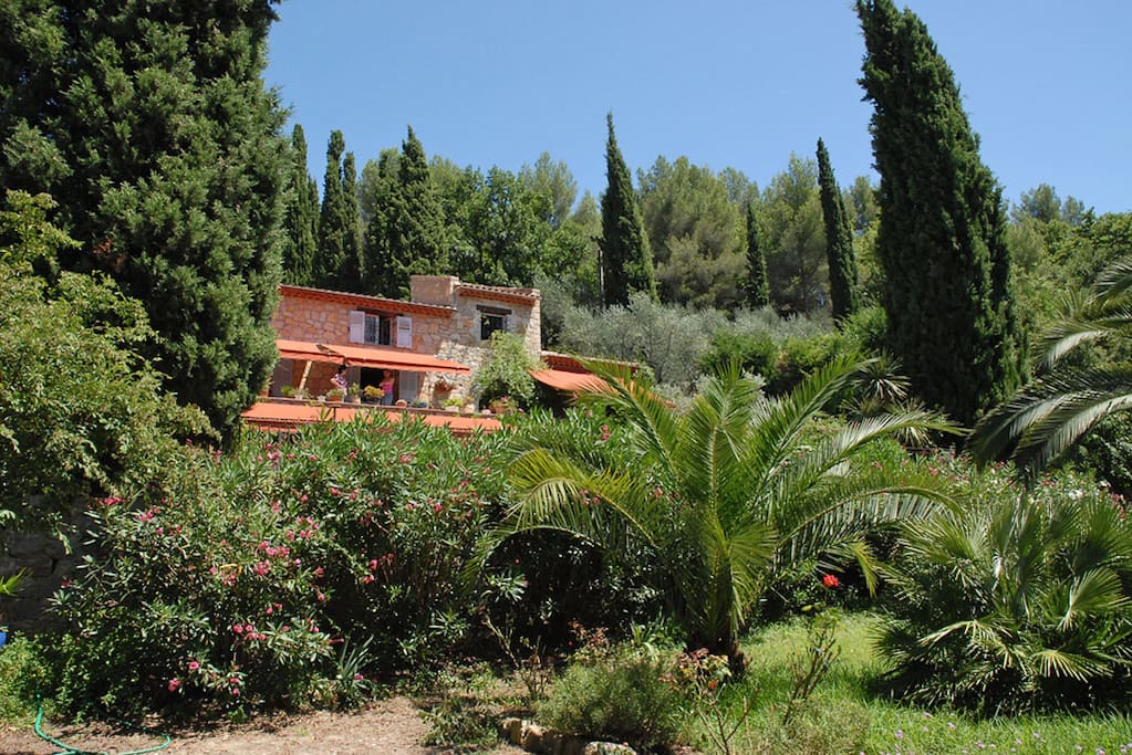 Villa