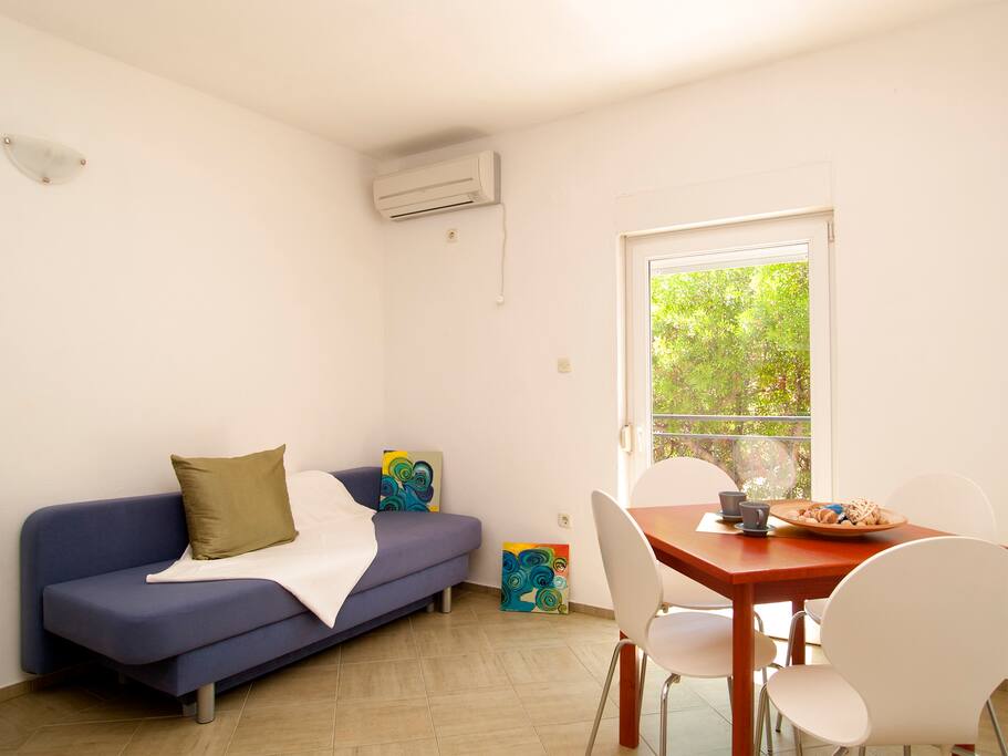 Living room with kitchen and sofa bed