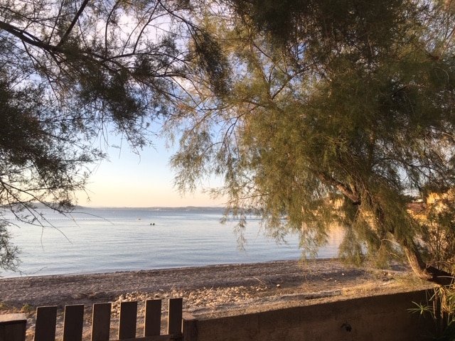 A serene beachfront view is framed by swaying trees, highlighting the gentle waves lapping at the shore. The calm water reflects soft hues of the sky, while a sandy beach is visible in the foreground, inviting peaceful outdoor experiences.