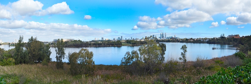 A panoramic view of the Swan River showcases serene water reflecting the sky. Lush greenery lines the riverbank, with the city skyline visible in the background. Soft clouds drift above, enhancing the tranquil atmosphere of the natural landscape.