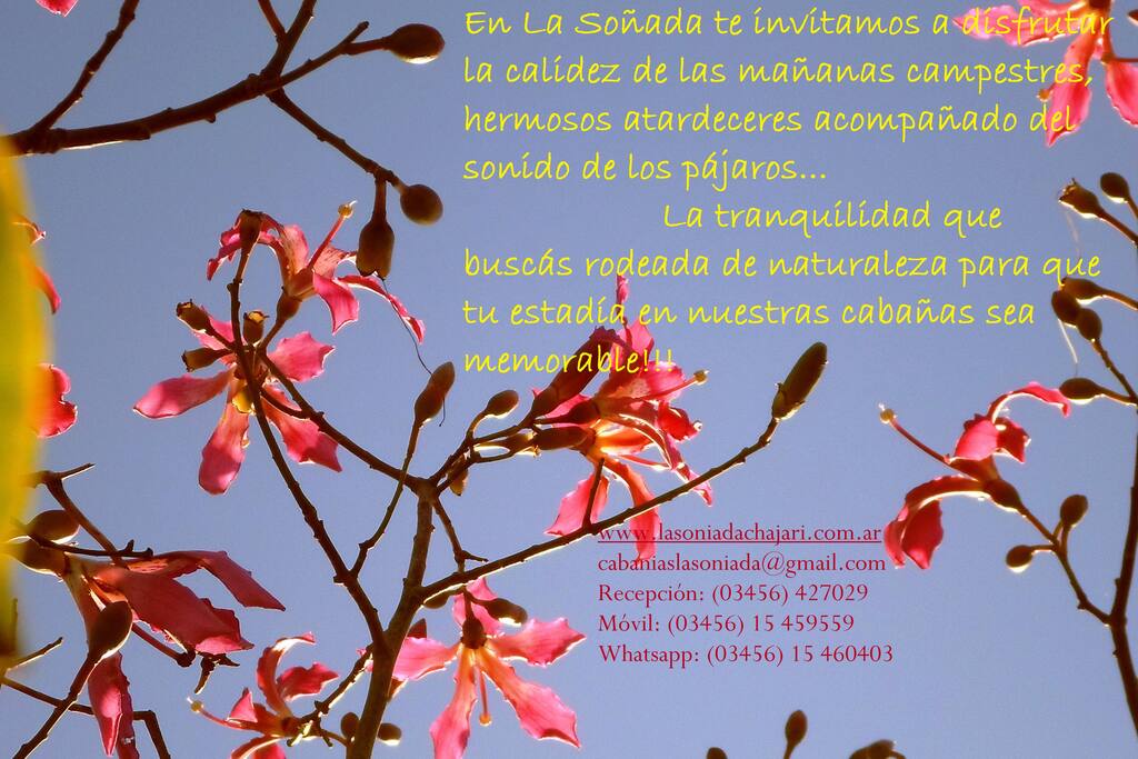 Este es el hermoso cielo que podrás disfrutar durante tu estadía...