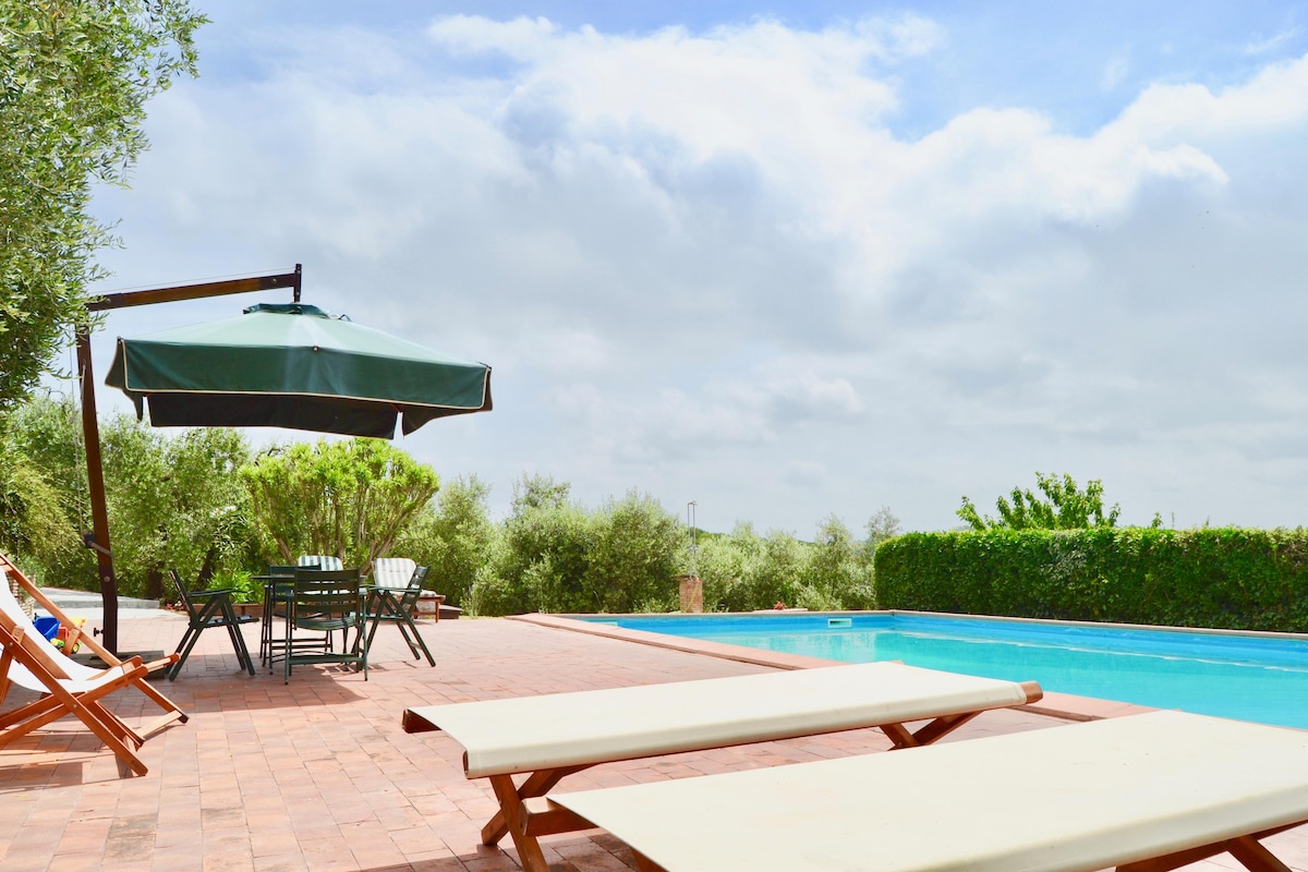 A spacious outdoor area features a refreshing swimming pool surrounded by olive trees and lush greenery. Comfortable lounge chairs are placed nearby, alongside a shaded dining table and chairs, offering a serene environment for relaxation and enjoying the natural surroundings.