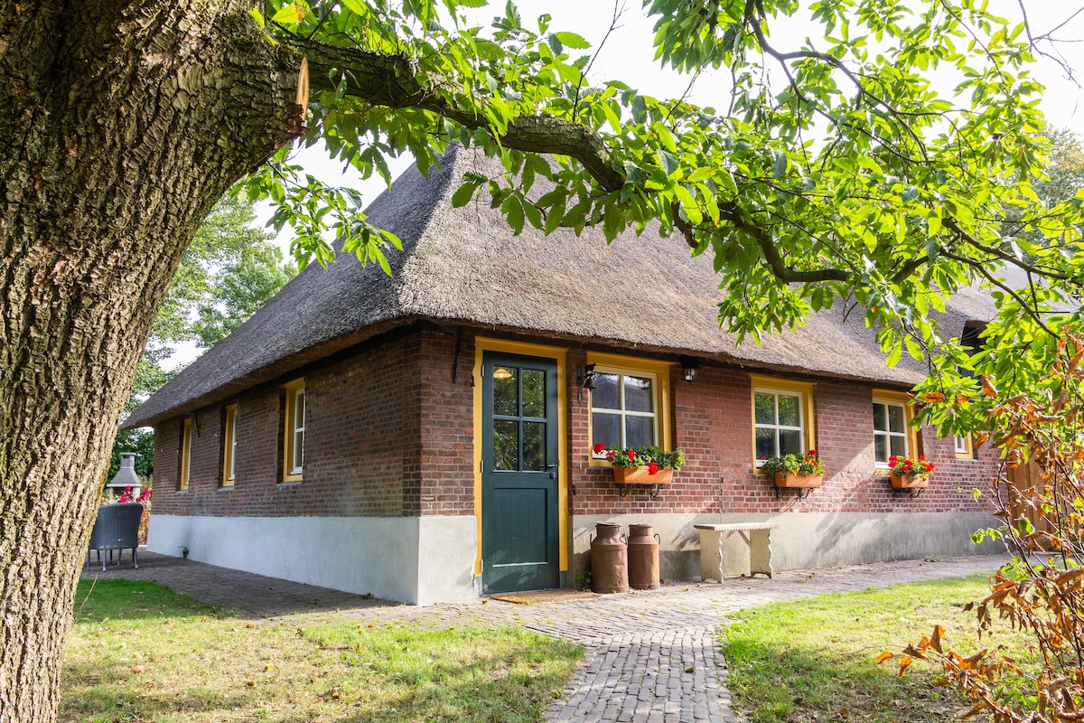 A charming brick building with a thatched roof is framed by greenery. Colorful flower boxes adorn the windows, and a path of cobblestones leads to a grassy area in front, where outdoor seating is visible.