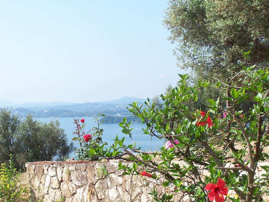 Villa La Serenissima | Garden