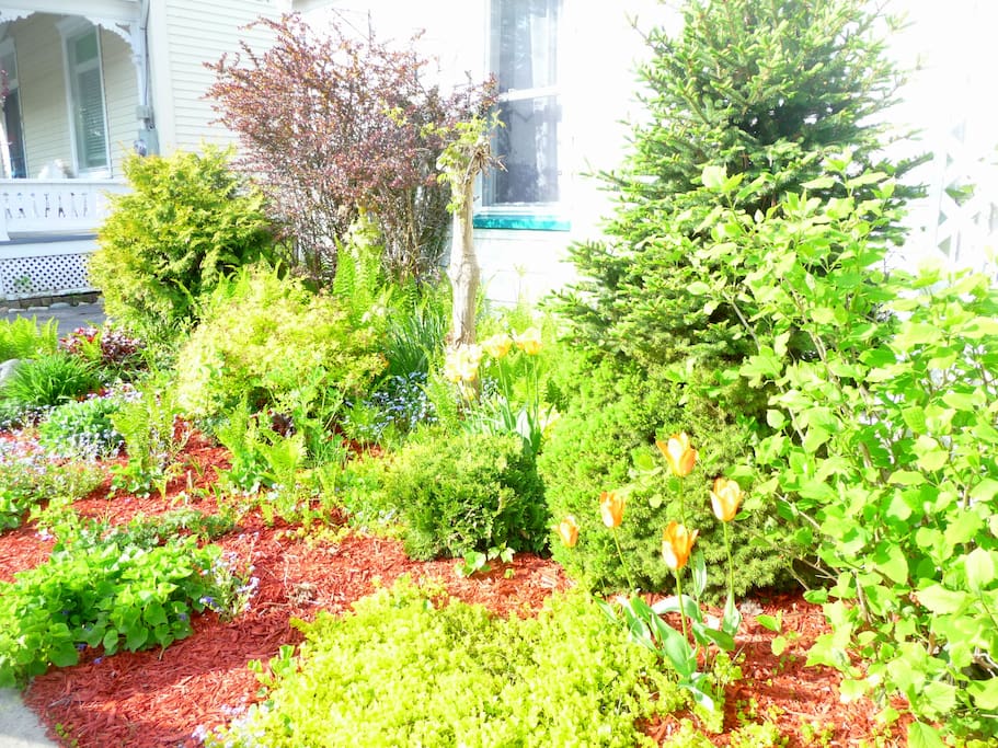 Quiet neighbours and tranquil garden give you privacy and a place to relax