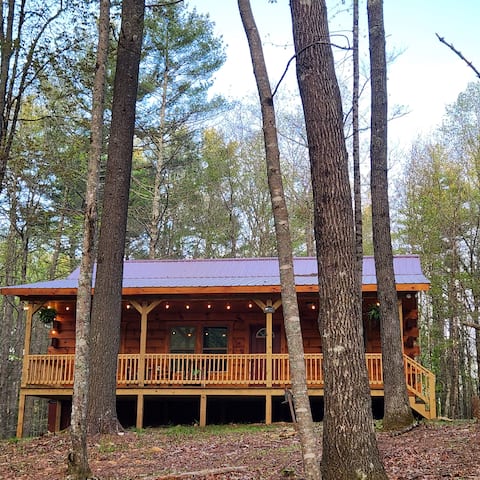 Enchanted Forest Modern Cabin w/ Upgraded Internet