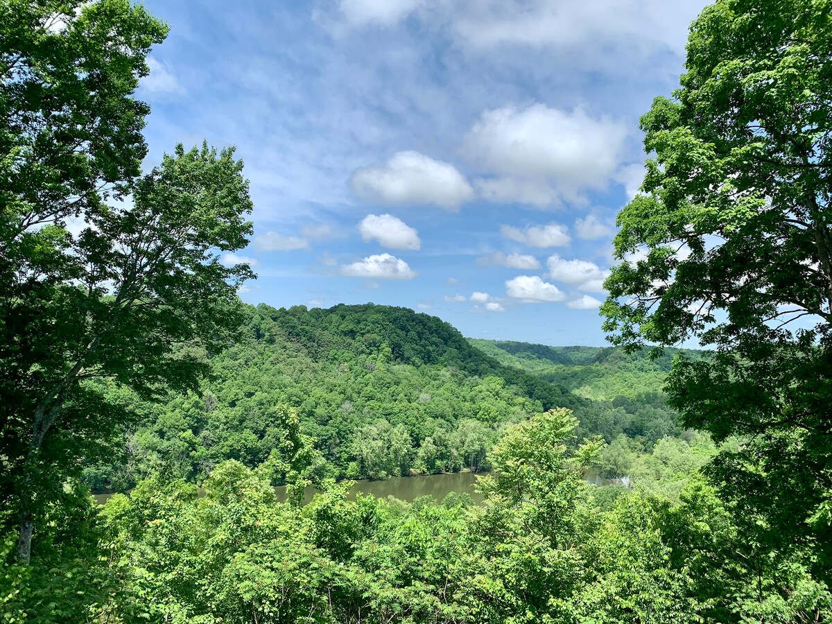A serene view of lush green hills and a winding river is captured under a blue sky with scattered clouds. The vista showcases the natural beauty surrounding the cabin, framed by tall trees and vibrant foliage.