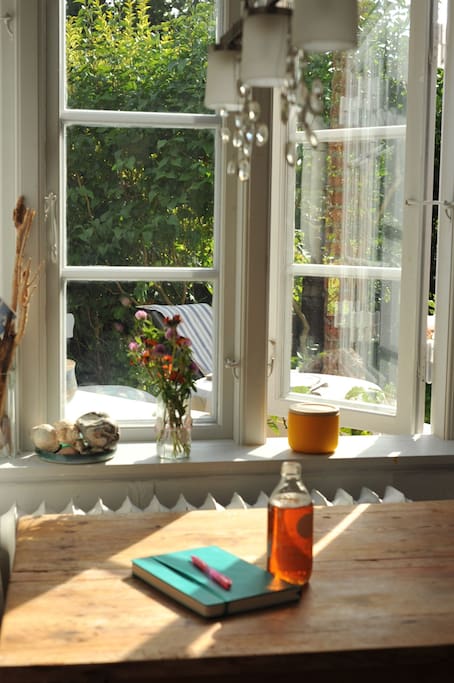 Ausblick in den Garten