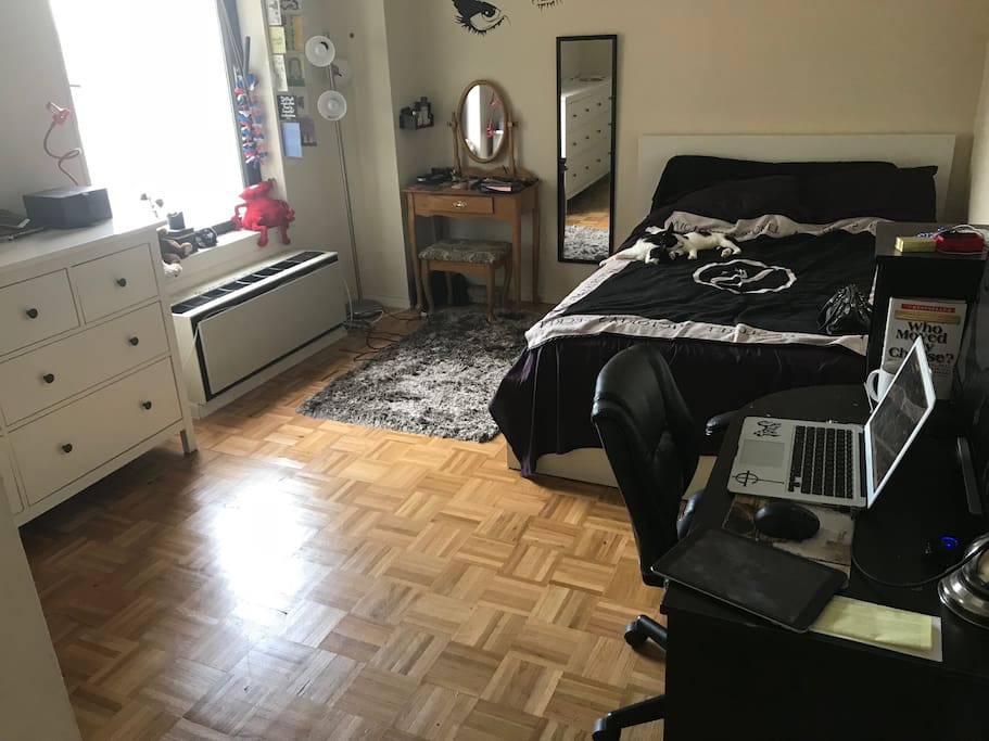 Bedroom - Ignore the kittens, they will be in a pet hotel :)