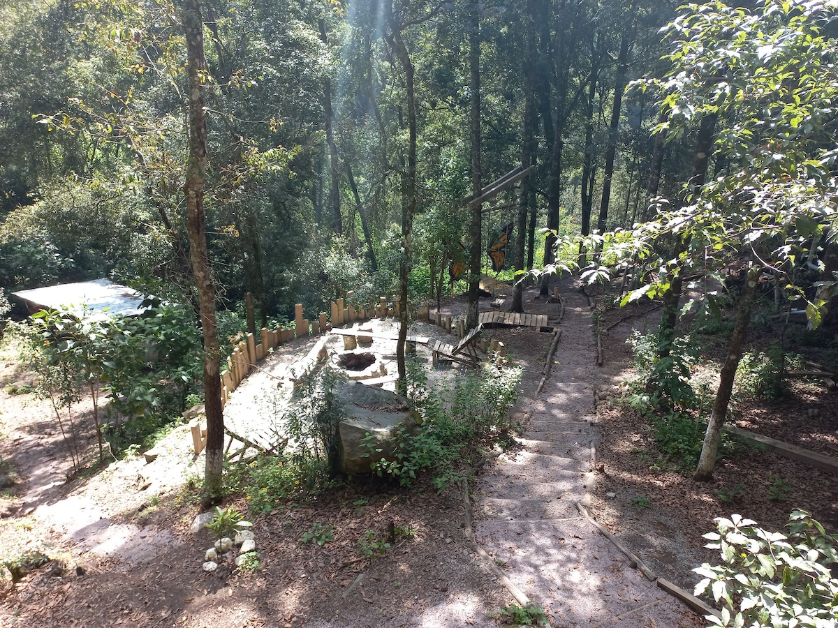 A natural outdoor area is surrounded by tall trees, with a winding path leading through lush greenery. A rustic seating arrangement and a circular stone structure are visible, integrated into the tranquil forest setting, inviting a sense of calm and connection with nature.