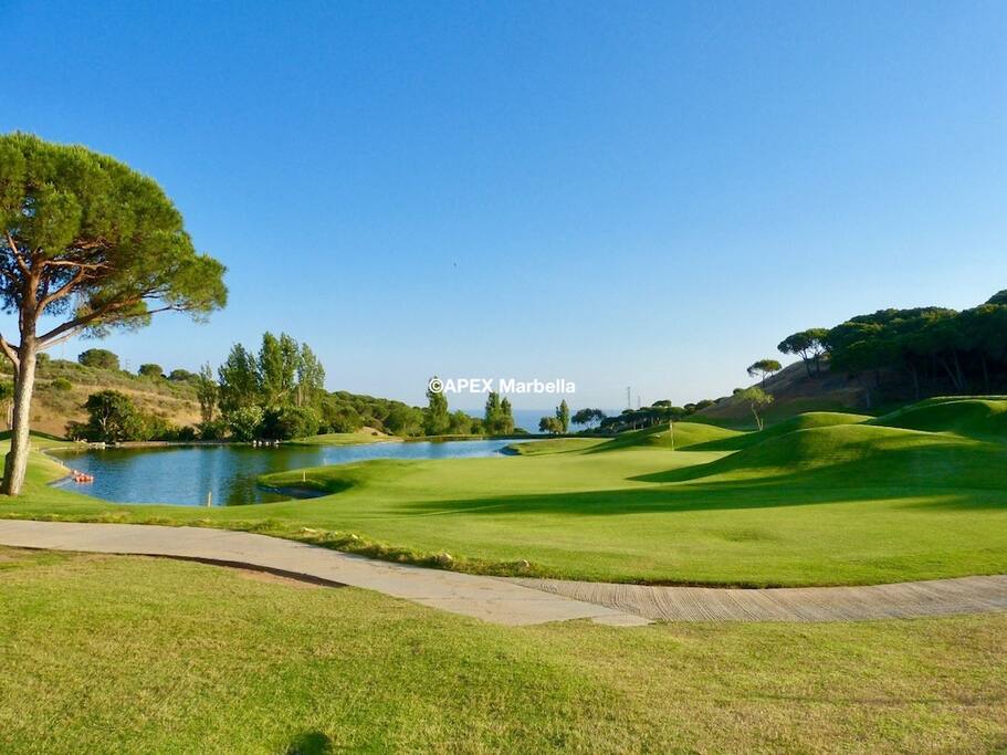 Choice of golf courses