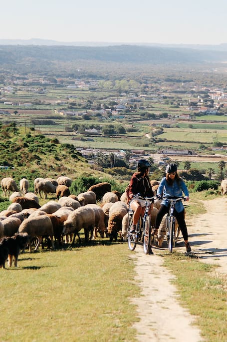 Airbnb Porto Salvo Vacation Rentals Places To Stay Airbnb Porto Salvo Vacation Rentals Places To Stay