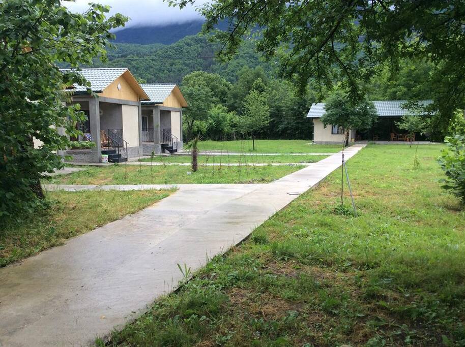 View of the yard