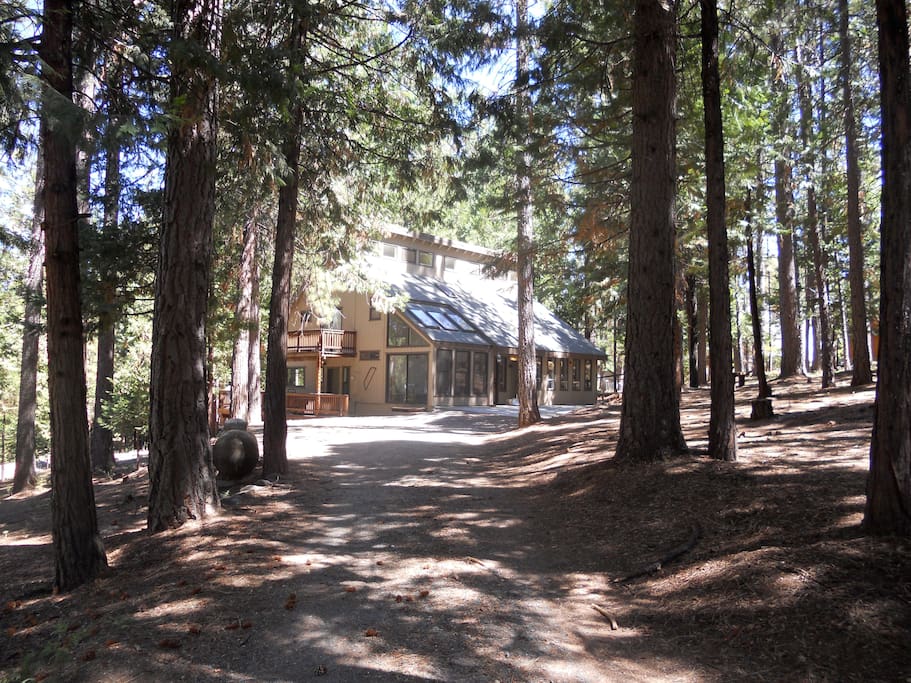 Grizzly's Den-Level access and lots of parking space!