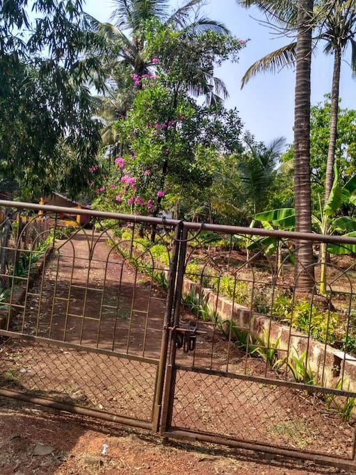 Pathway Leading to Gokul