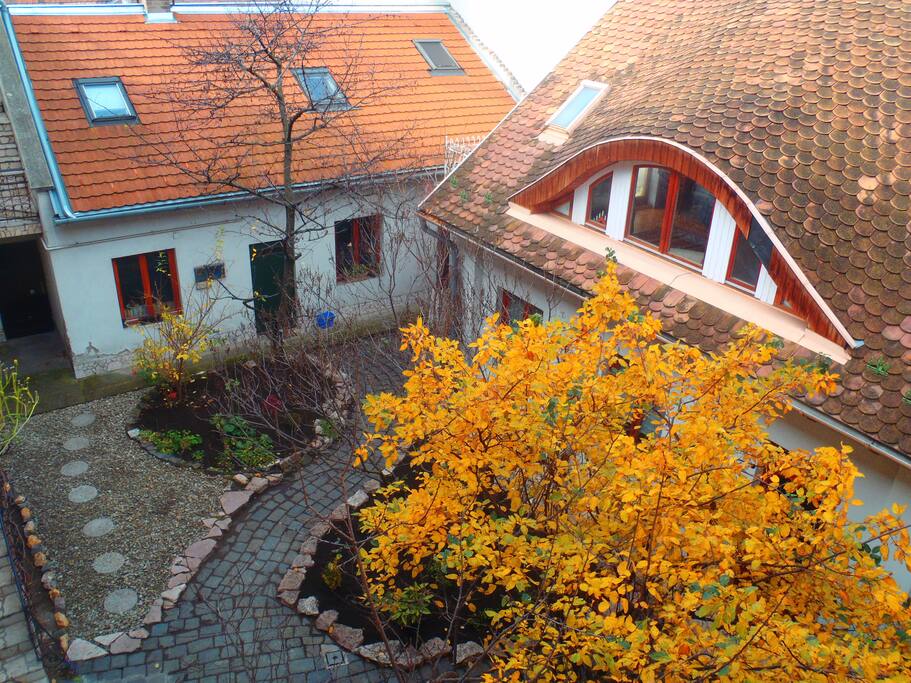 Autumn in the Garden.
