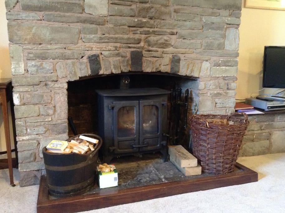 Wood burning stove