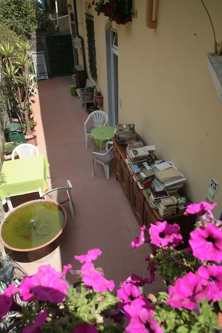 Resede/Garden