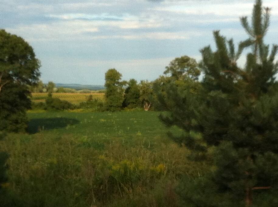 Eastern View