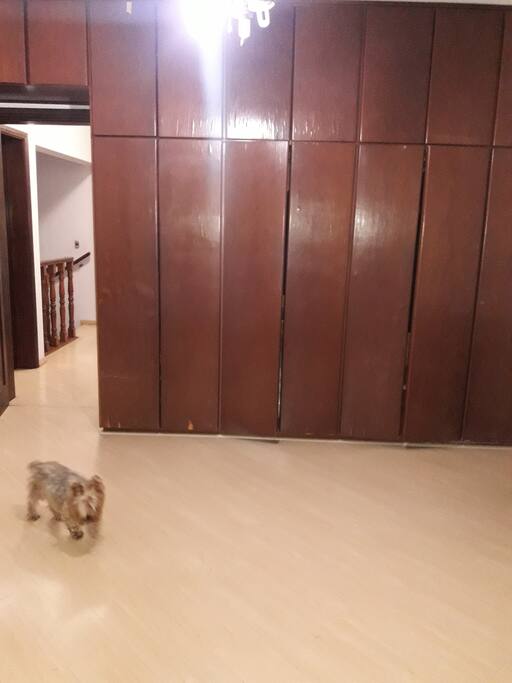 Espaço grande camas reatiradas para pintura!!