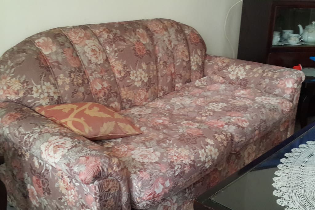 couch : a small sofa