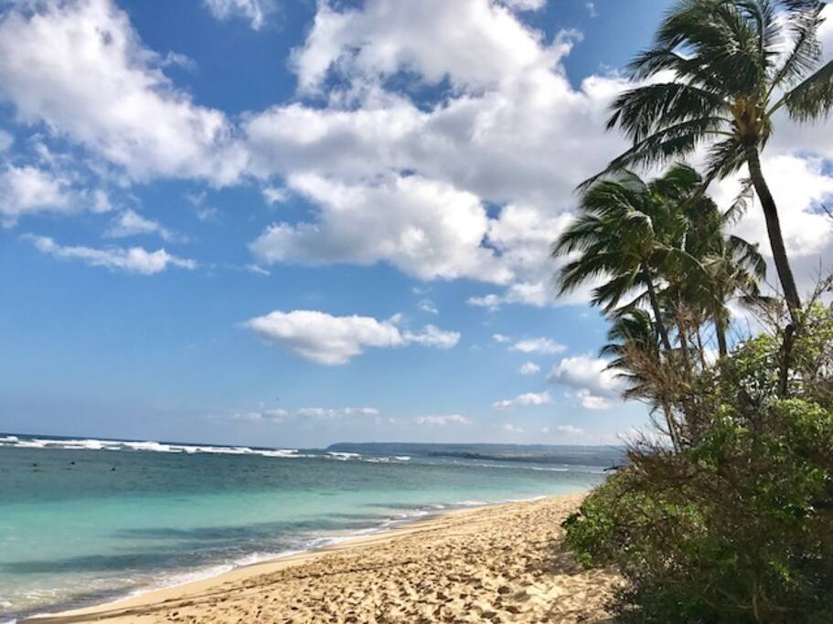 Beach Front Paradise! Waialua - 와이아루아의 콘도에서 살아보기, 하와이, 미국