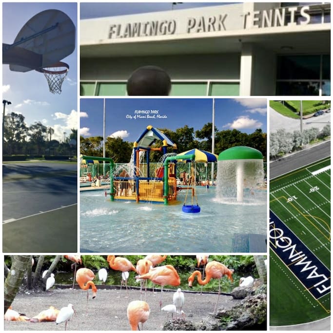 FlamingoPark amenities pool, tennis court, sauna, basketball court, pure Miami